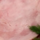 Sliced Traditional Ham